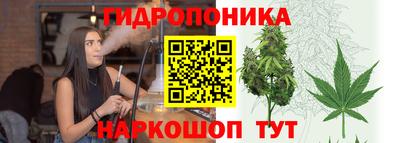 СК Пыть-Ях